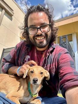 Ariel -  Mixed Breed Dog for Adoption in Wichita, Kansas - Ariel | PetCurious