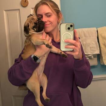 Pug Dogs Available for Adoption in Wheeling, Illinois - Daisy | PetCurious