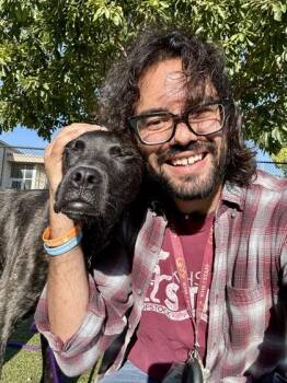 Smoke -  Mixed Breed Dog for Adoption in Wichita, Kansas - Smoke | PetCurious