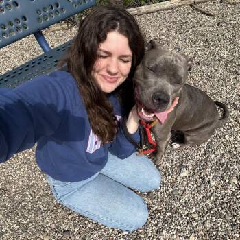 Gretta -  Mixed Breed Dog for Adoption in West Olive, Michigan - Gretta | PetCurious