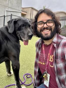 Mixed Breed Dogs Available for Adoption in Wichita, Kansas - Vegemite Sandwich | PetCurious