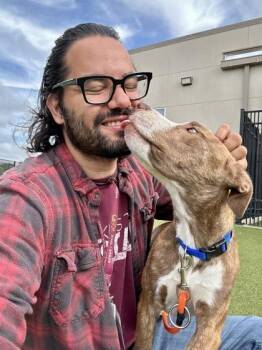 Lillian -  Mixed Breed Dog for Adoption in Wichita, Kansas - Lillian | PetCurious