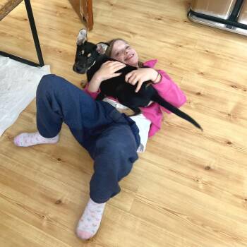 Mixed Breed and Shepherd Dogs Available for Adoption in Chicago, Illinois - Fettuccini | PetCurious