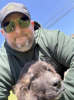 Great Pyrenees Dogs Available for Adoption in Irwin, Pennsylvania - Boone (Available 4/28/2026) | PetCurious