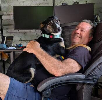 Evie -  Australian Shepherd and Rat Terrier Dog for Adoption in Georgetown, Kentucky - Evie | PetCurious