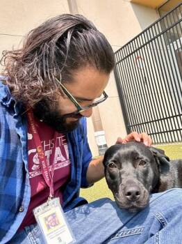 Aliza -  Mixed Breed Dog for Adoption in Wichita, Kansas - Aliza | PetCurious