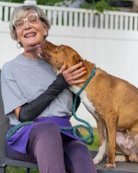 Shy -  Mixed Breed Dog for Adoption in Chamblee, Georgia - Shy | PetCurious