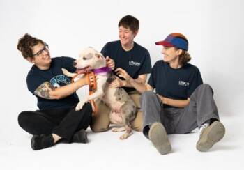 Ruthie -  Mixed Breed Dog for Adoption in Atlanta, Georgia - Ruthie | PetCurious