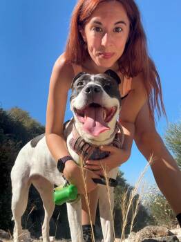 Staffordshire Bull Terrier Dogs Available for Adoption - Blossom  | PetCurious