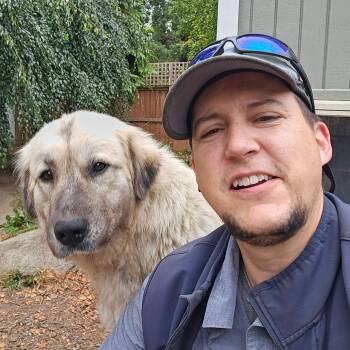 Trinity -  Anatolian Shepherd Dog for Adoption in Sequim, Washington - Trinity | PetCurious