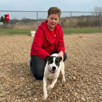 Mixed Breed Dogs Available for Adoption - Janis | PetCurious