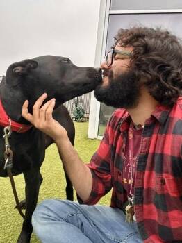 Mixed Breed Dogs Available for Adoption - Nemo | PetCurious