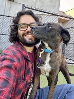 Kars -  Mixed Breed Dog for Adoption in Wichita, Kansas - Kars | PetCurious