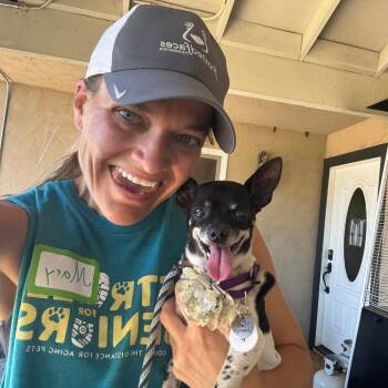 Gam Gam -  Chihuahua Dog for Adoption in Ramona, California - Gam Gam | PetCurious