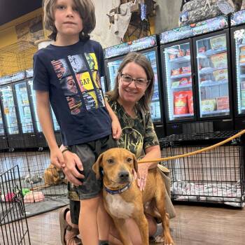 Tater -  Mixed Breed Dog for Adoption in Tunica, Mississippi - Tater | PetCurious