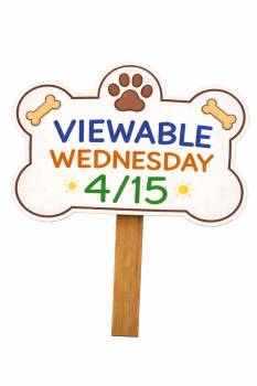 Pit Bull Terrier Dogs Available for Adoption in Howes Cave, New York - Radar  | PetCurious