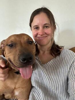 Turmeric -  Mixed Breed Dog for Adoption in Cincinnati, Ohio - Turmeric | PetCurious