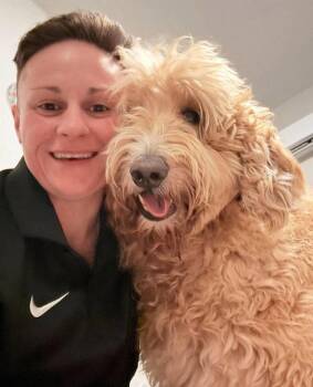 Louie -  Labrador Retriever and Standard Poodle Dog for Adoption in Monticello, New York - Louie | PetCurious