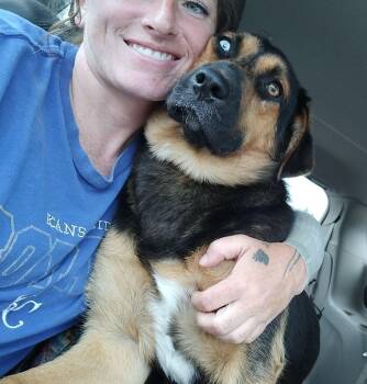 Iris -  Australian Shepherd and Labrador Retriever Dog for Adoption in Auburn, Kansas - Iris | PetCurious