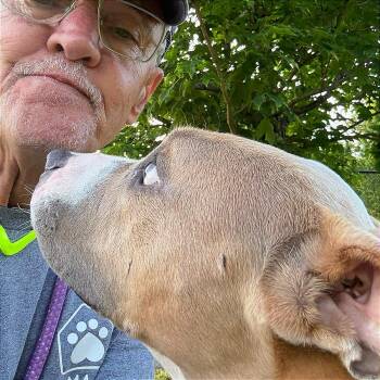 Fern -  Mixed Breed Dog for Adoption in Chattanooga, Tennessee - Fern | PetCurious