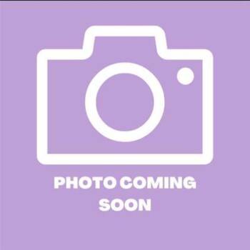 German Shepherd Dog and Mixed Breed Dogs Available for Adoption - 60746462 | PetCurious