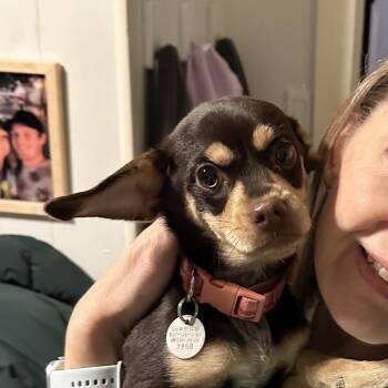 Gidget 