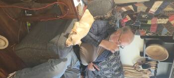 Chihuahua Dogs Available for Adoption in Huber Heights, Ohio - Teeny | PetCurious