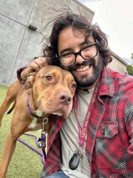 Mixed Breed Dogs Available for Adoption in Wichita, Kansas - Cecil (FOSTER TO ADOPT) | PetCurious