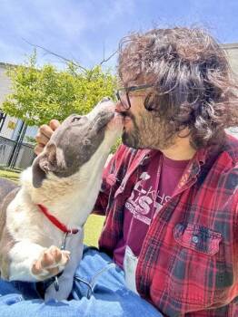 Lotte -  Mixed Breed Dog for Adoption in Wichita, Kansas - Lotte | PetCurious