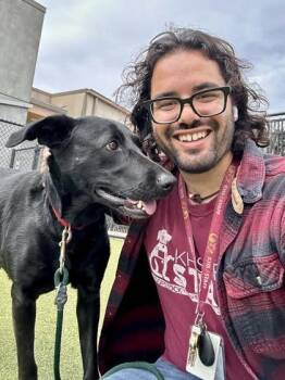 Hazel -  Mixed Breed Dog for Adoption in Wichita, Kansas - Hazel | PetCurious