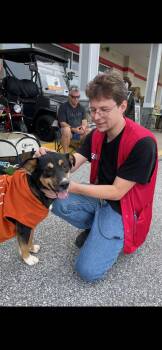 Poppy -  Mixed Breed Dog for Adoption in Lincoln University, Pennsylvania - Poppy | PetCurious