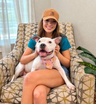 Winnie Love Tiny Pittie Wigglebutt -  Pit Bull Terrier and American Staffordshire Terrier Dog for Adoption in Friendswood, Texas - Winnie Love Tiny Pittie Wigglebutt | PetCurious