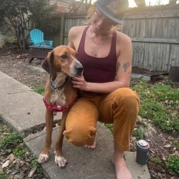 Presley -  Redbone Coonhound and Mixed Breed Dog for Adoption in Richmond, Virginia - Presley | PetCurious