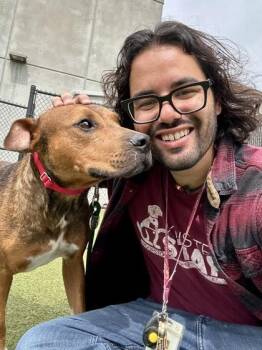 Beatboxing Puppy -  Mixed Breed Dog for Adoption in Wichita, Kansas - Beatboxing Puppy | PetCurious