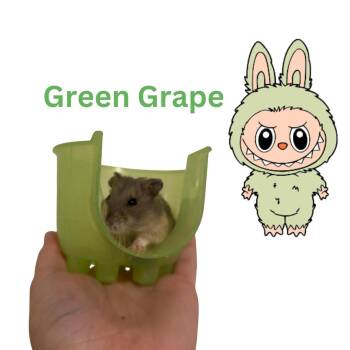 Rescue Dwarf Hamster and Hamster Hamsters for Adoption in Ripon, California - Green Grape | PetCurious