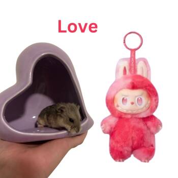 Rescue Dwarf Hamster and Hamster Hamsters for Adoption in Ripon, California - Love | PetCurious