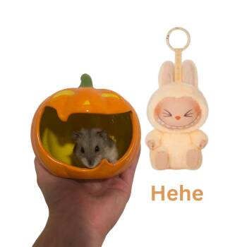 Rescue Dwarf Hamster and Hamster Hamsters for Adoption in Ripon, California - Hehe | PetCurious