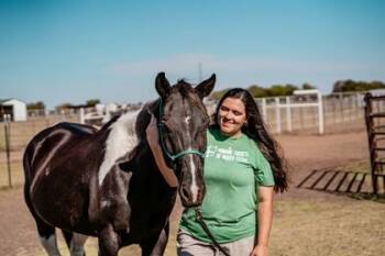 Rescue Paint Pinto and Grade Horses for Adoption in Fort Worth, Texas - Jyn | PetCurious
