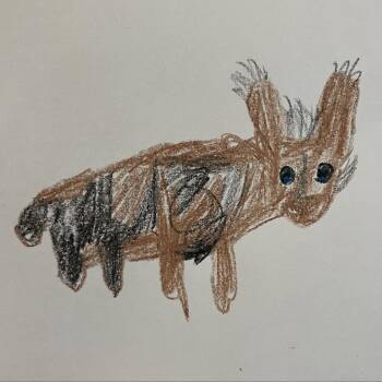 Lionhead Rabbits Available for Adoption - Hairy Styles | PetCurious